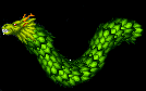 Aquatic Dragon